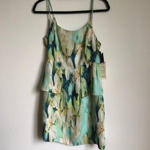 Bb Dakota dress